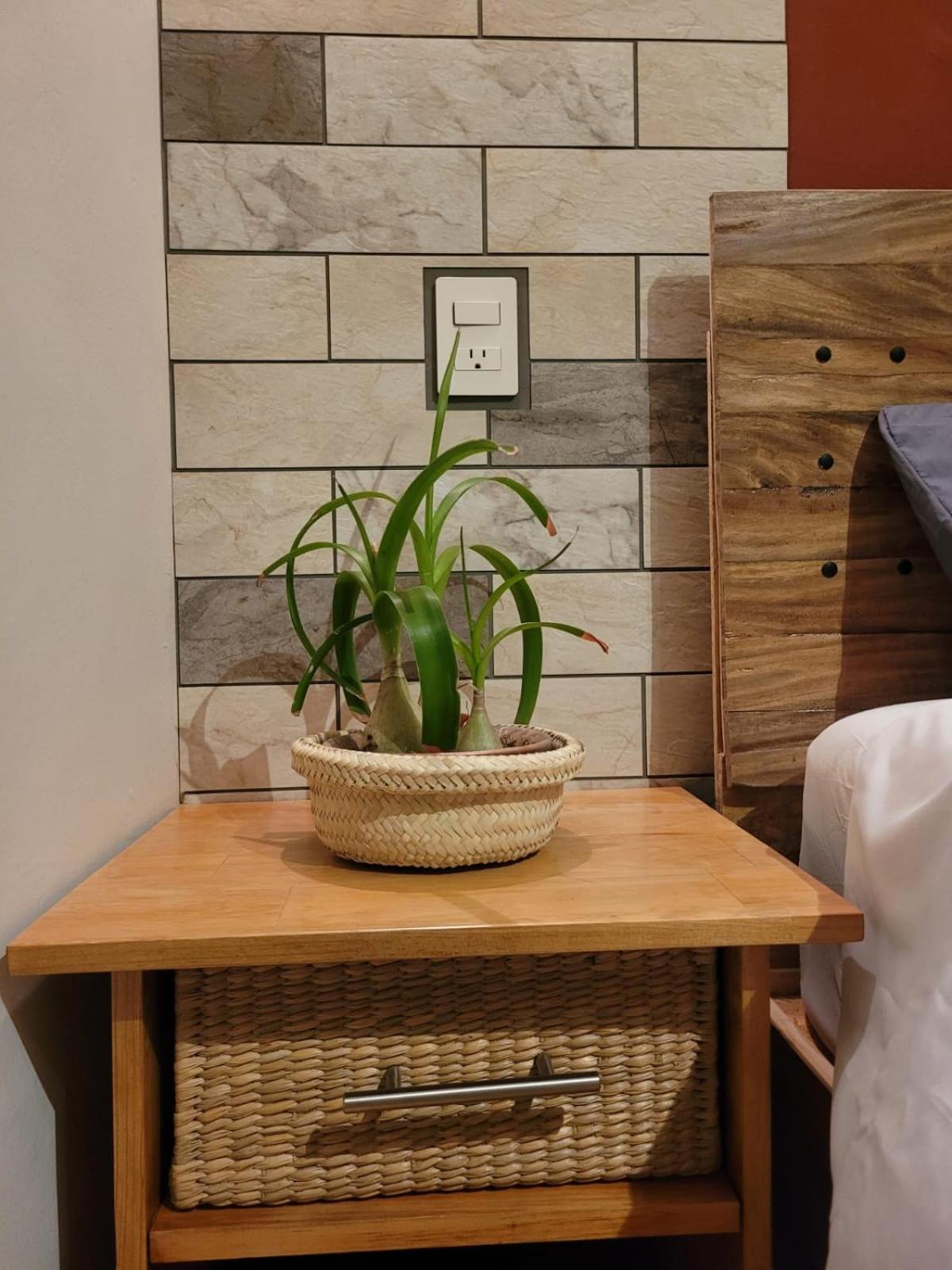 Casa B & L Centrico Departamento Apartment Oaxaca Екстериор снимка