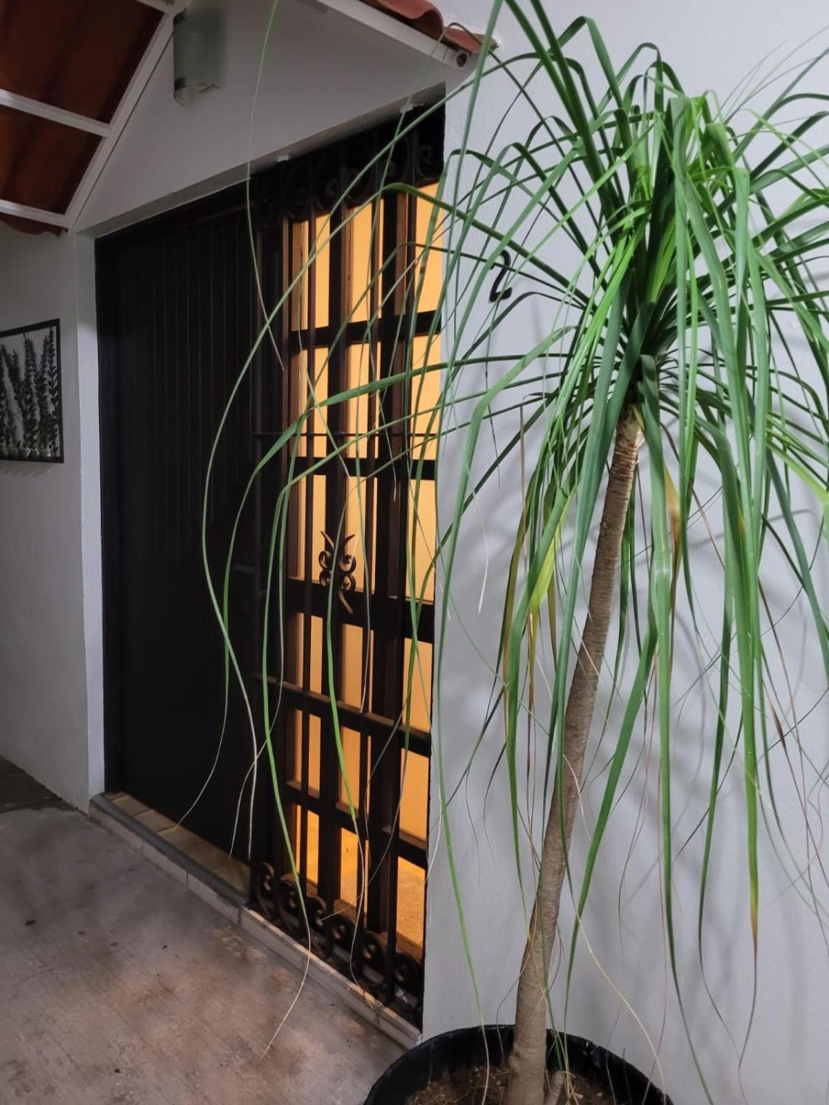 Casa B & L Centrico Departamento Apartment Oaxaca Екстериор снимка